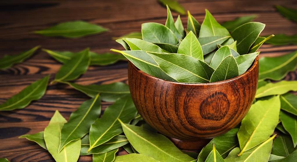 La importancia de la variedad