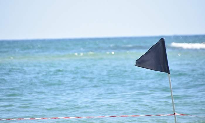 iStock-1250910188-1.jpg