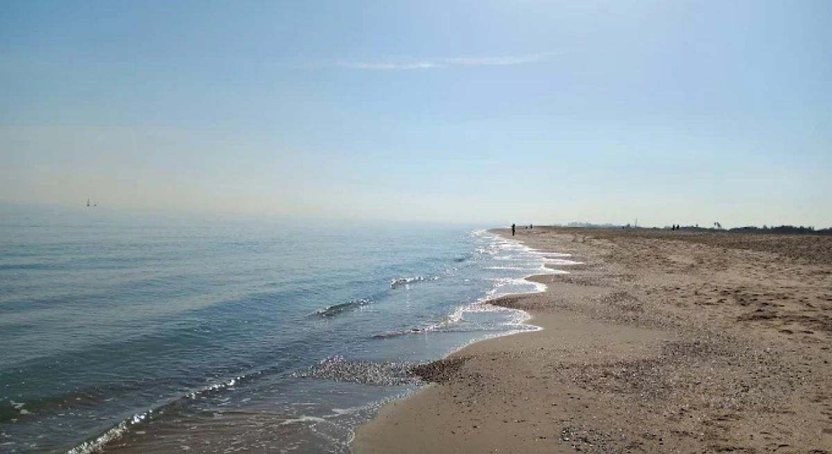 Playa del Pinedo
