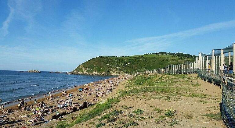 Playa con presencia vegetal en Gipuzkoa