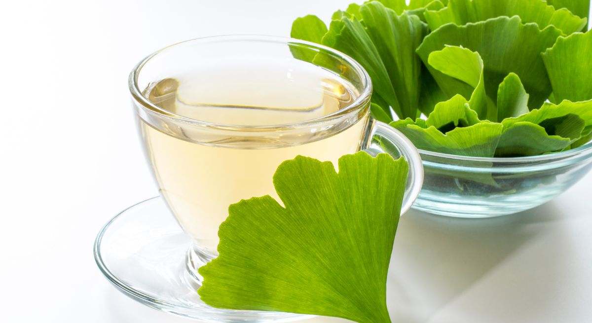 Ginkgo Biloba