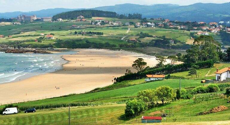 playa rodeada de prados verdes