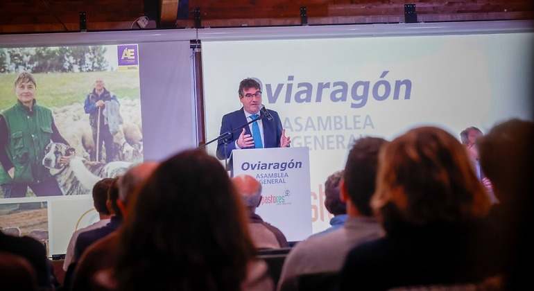 ganaderia aragon