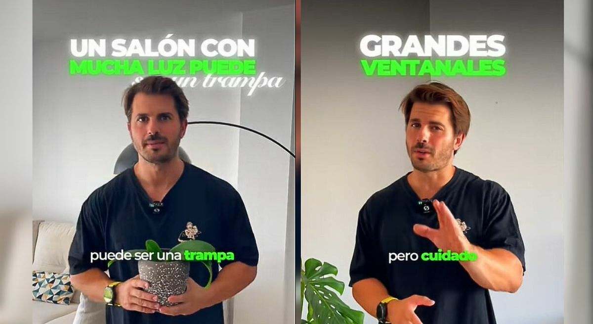 Álvaro Pedrera, experto en jardinería: "Un salón con mucha luz puede ser una trampa para tus plantas"