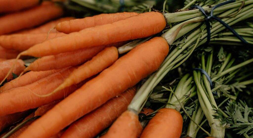 Vitamina A