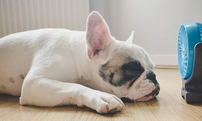 dormir-con-calor.jpg