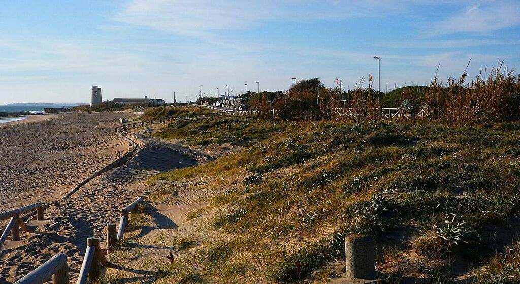 Playa de El Palmar (Vejer de la Frontera)
