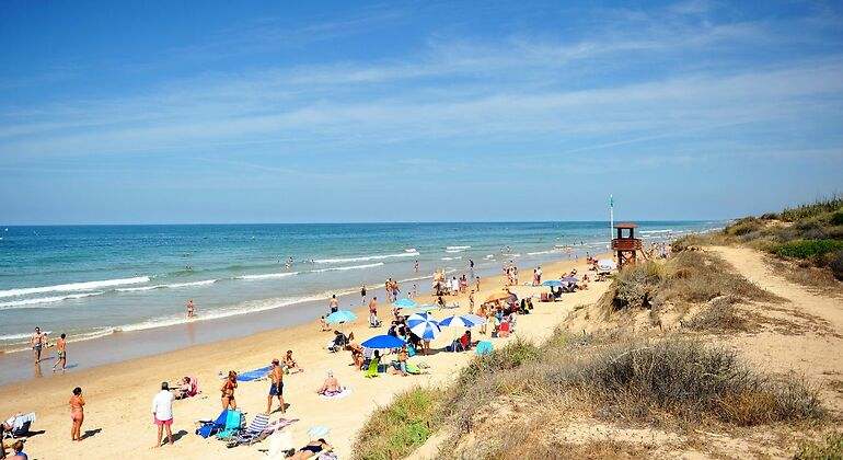 Playa con gente y dunas con vegetación