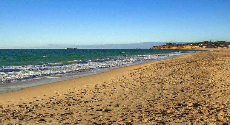 Extenso arenal dorado en la provincia de Cádiz