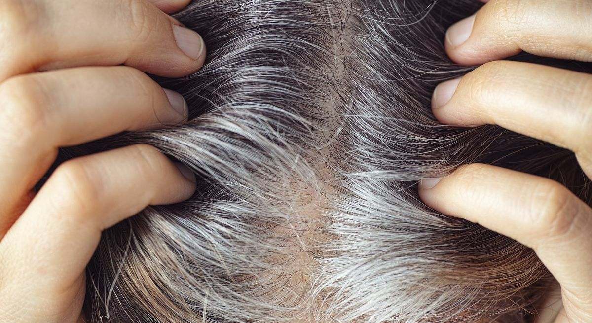 El desconocido champú para tapar todas las canas sin necesidad de teñir el cabello
