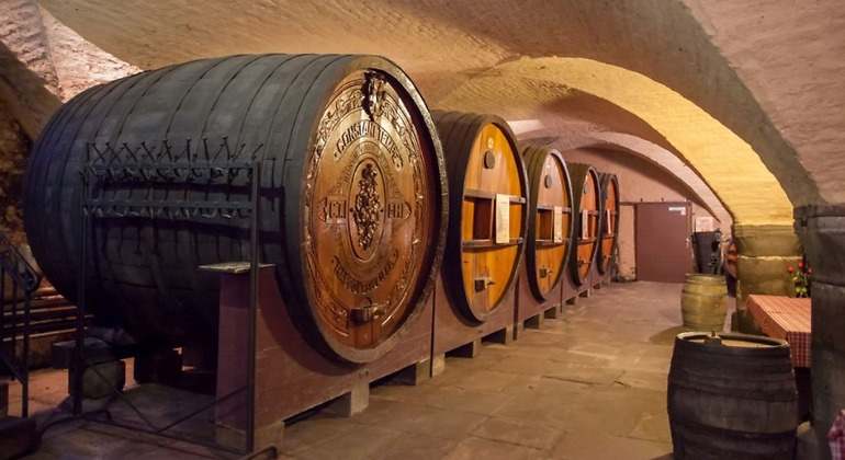 Bodega de vino