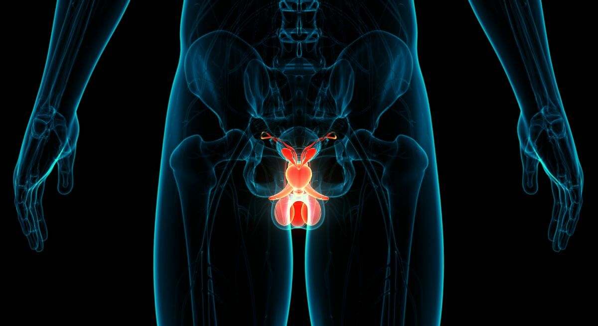 La prueba que detecta el cáncer de próstata a tiempo: síntomas, diagnóstico y mortalidad
