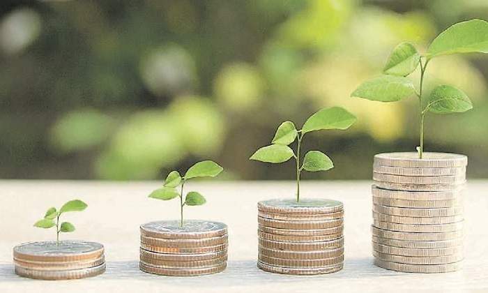 semilla-dinero-verde-crece-istock-770x420.jpg