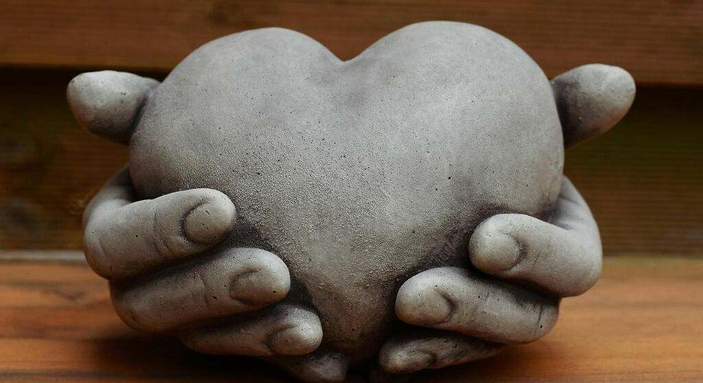 Protectores del corazón