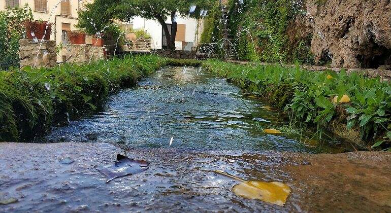 fuente de agua en el pueblo de letur con un árbol al fondo