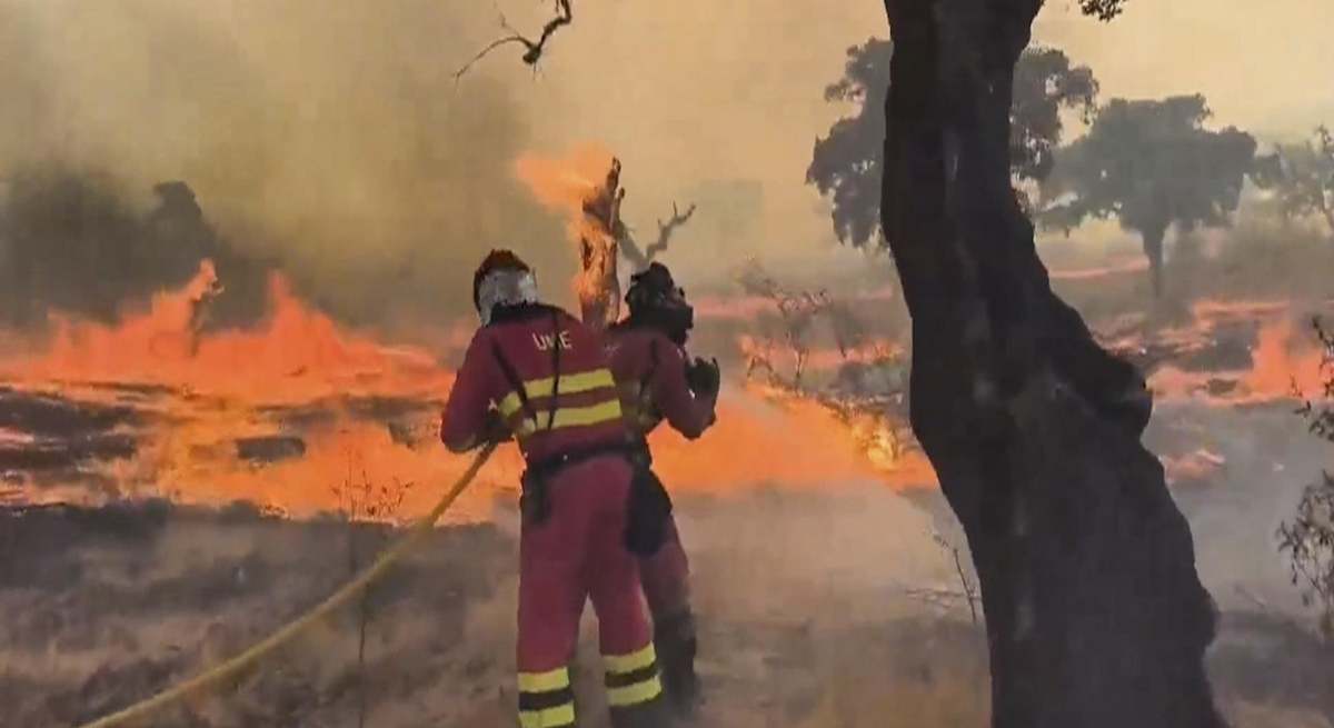 Los registradores de la propiedad facilitarán notas simples gratuitas a los afectados por la ola de incendios que asolan a Galicia, Castilla y León y Extremadura