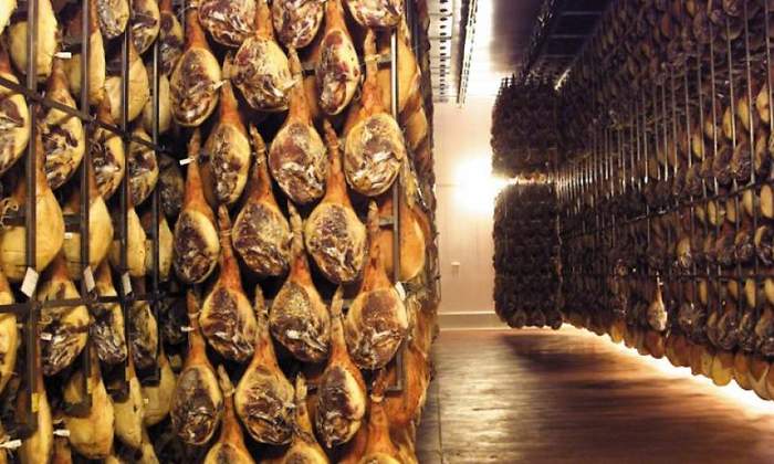 agroalimentacion teruel