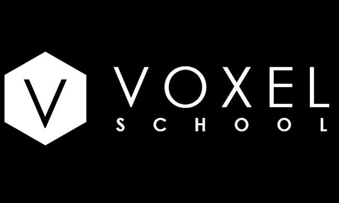 voxel.jpg