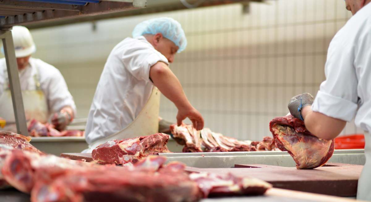 El gran reto demográfico de la industria alimentaria: la mitad de los trabajadores tiene más de 45 años