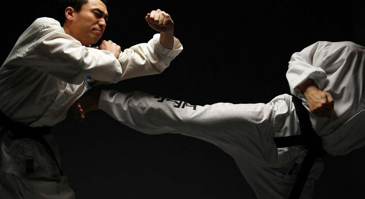 Las artes marciales