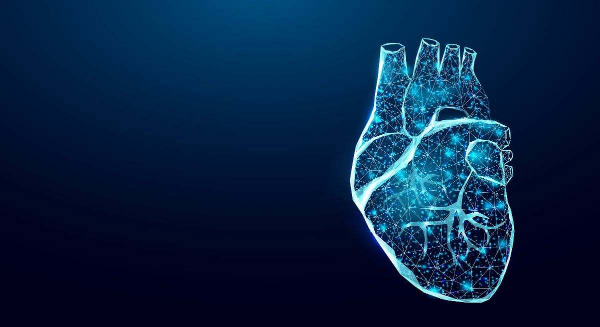 ¿Qué efecto tiene la vitamina B12 en mi corazón?
