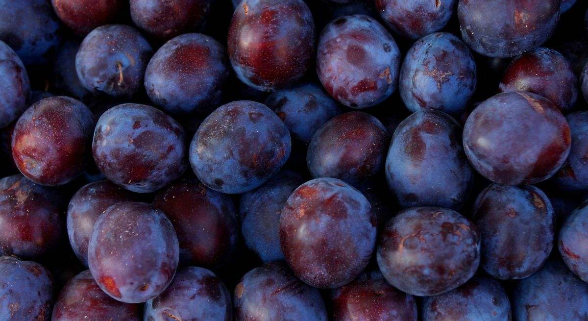 Ciruelas