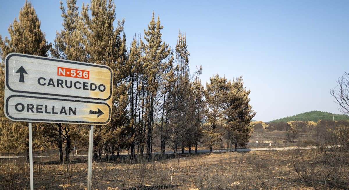 Verdades y mentiras sobre la recalificación de terrenos arrasados por los incendios: qué dice la ley