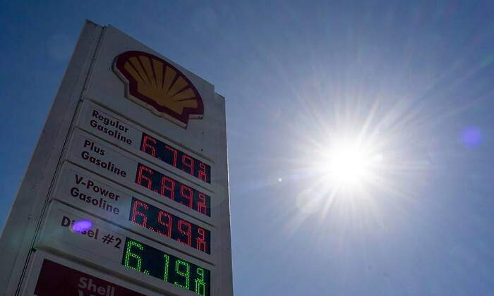 shell-bolsas.jpg