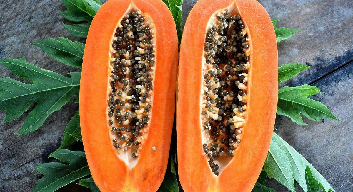 Beneficios de la papaya