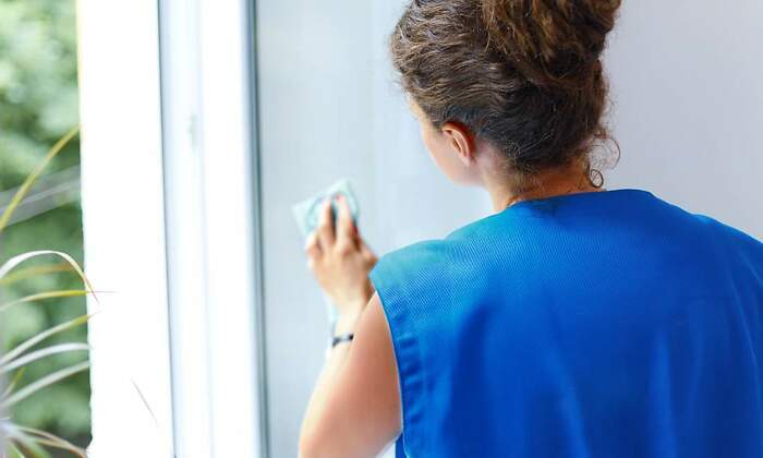 mujer-limpiadora-espaldas-ventana-dreamstime.jpg