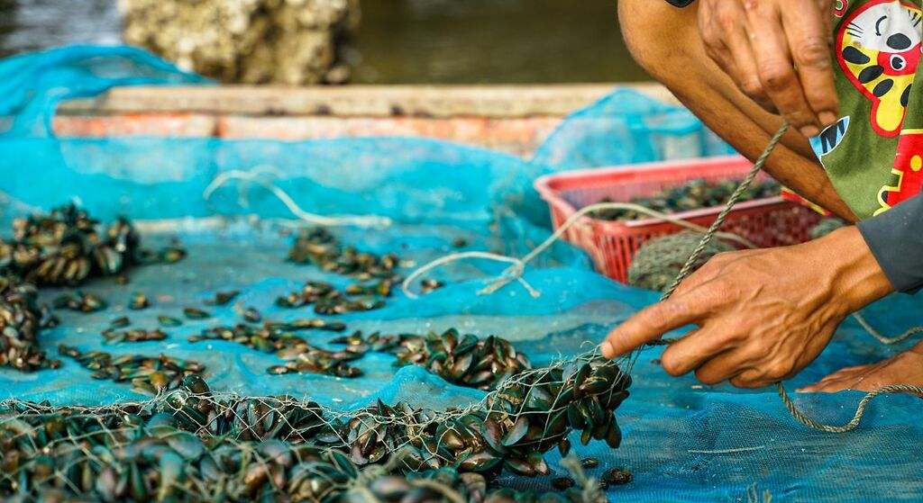 Uno de los productos estrella