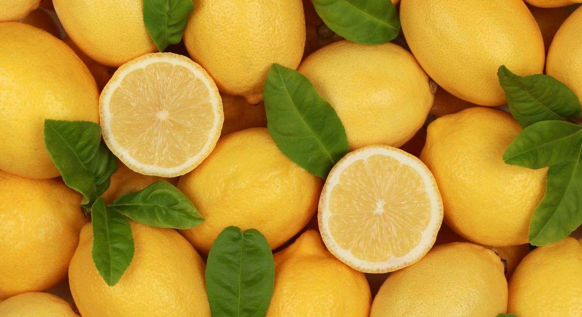 Cítricos