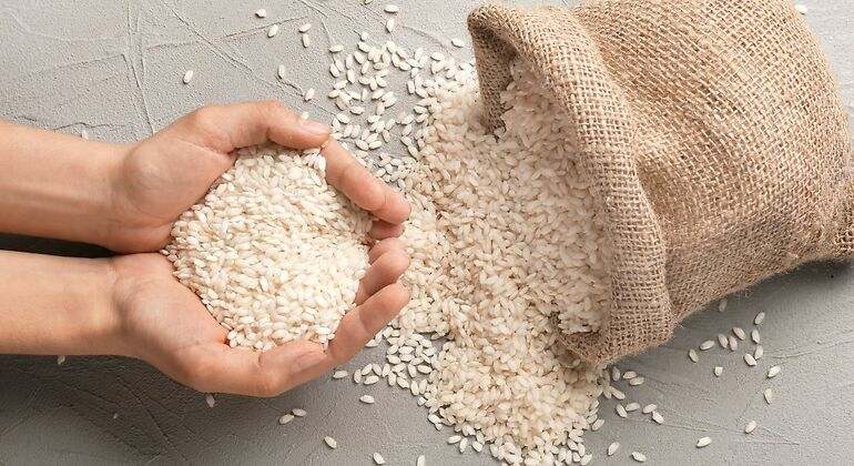 Puñado de arroz