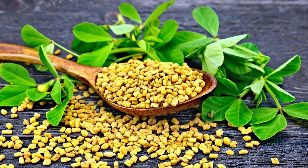 El alimento rico en proteína y magnesio que aumenta mucho la masa muscular y mejora la digestión