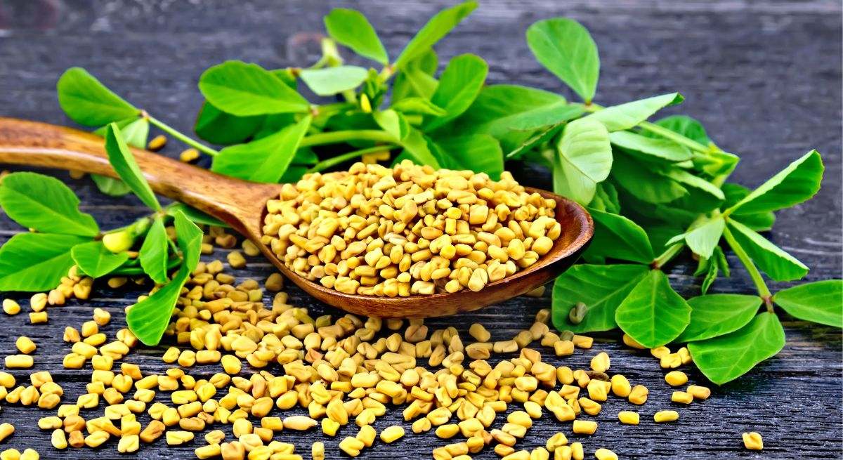 El alimento rico en proteína y magnesio que aumenta mucho la masa muscular y mejora la digestión
