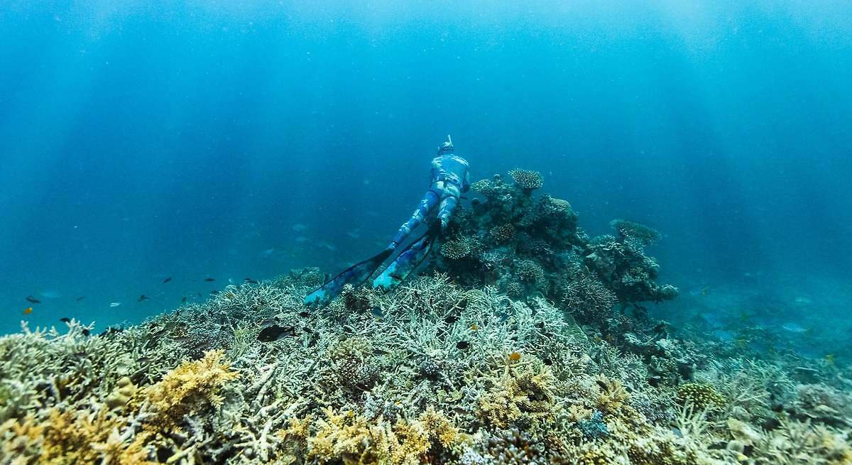 Unos buzos encuentran una estatua de 3.000 años de antigüedad en el fondo del lago: tiene huellas humanas recientes