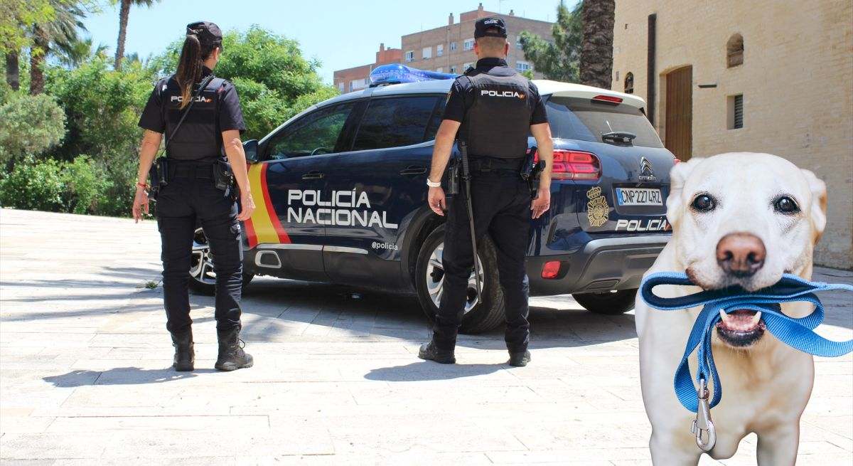 Aviso de la Policía Nacional a toda la población ante este problema que afecta a las mascotas: "Si no puedes aguantar, él tampoco"
