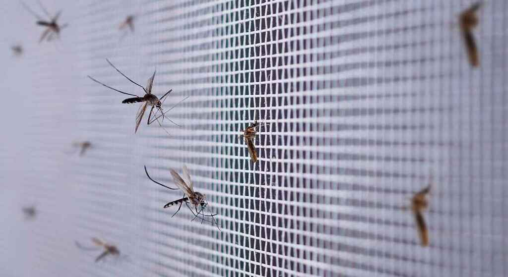 Uso de mosquiteras y paneles protectores