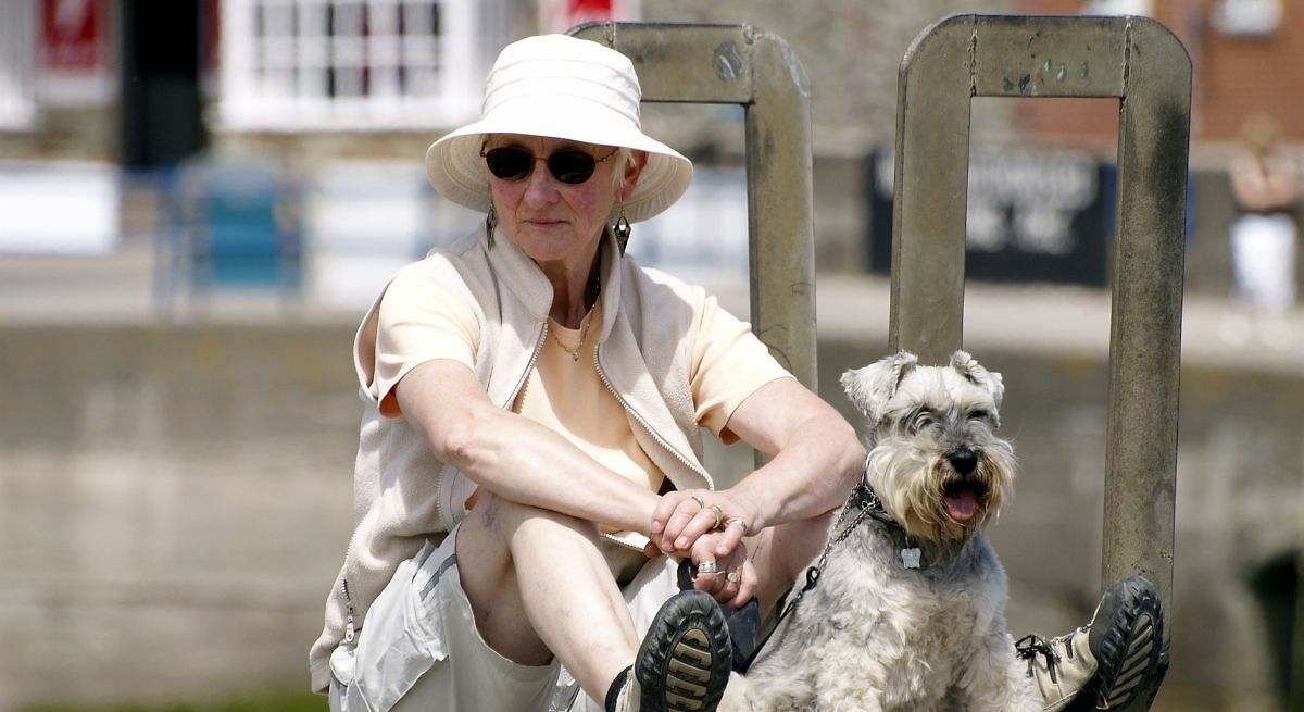 Ventajas de vivir con mascotas