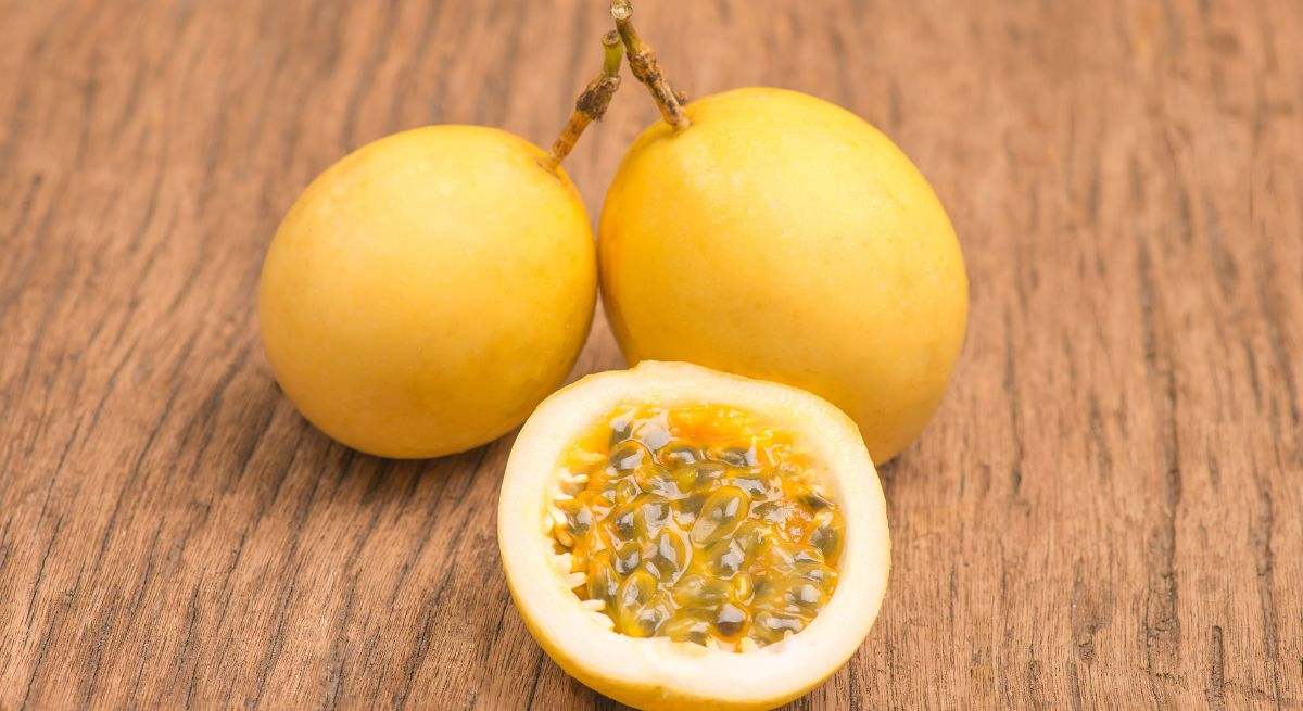 Granadilla