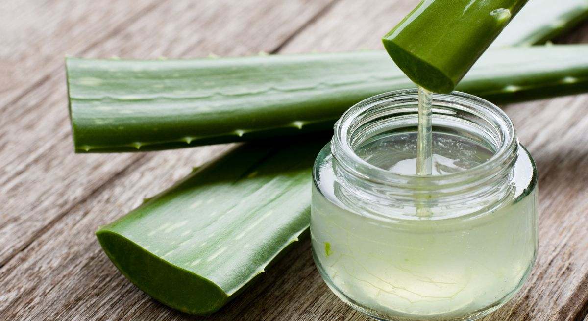 Crema de aloe vera