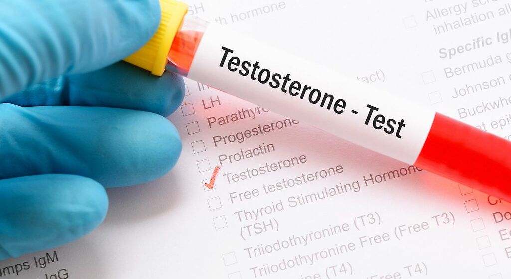 Estimula la producción de testosterona