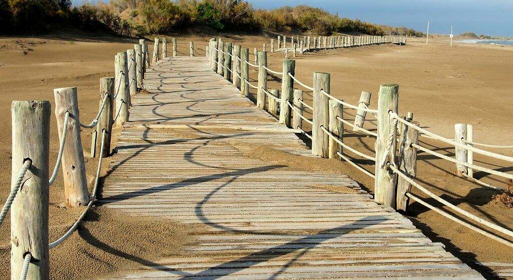 Playa Riumar (Deltebre)