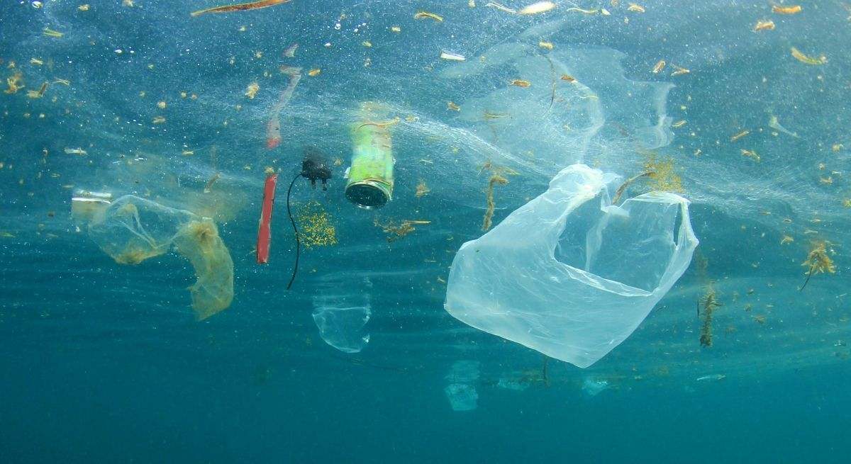 Científicos piden que nos preparemos para lo que está pasando en el mar porque afecta a todo el mundo: "Puntos críticos de riesgo ecológico"