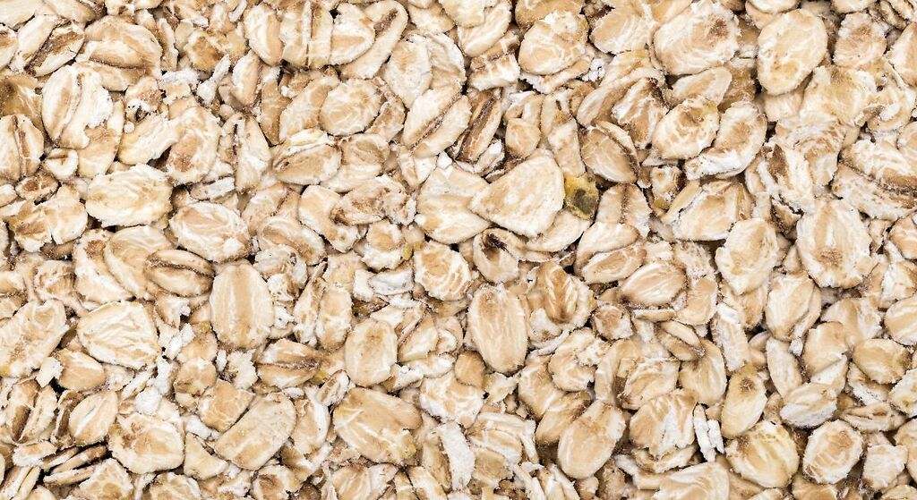 Avena