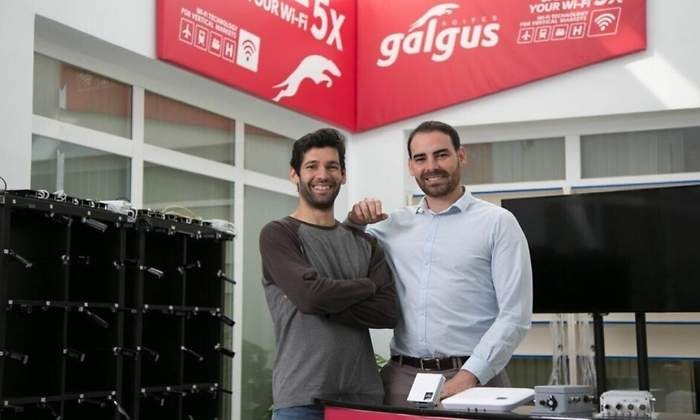 galgus.jpg
