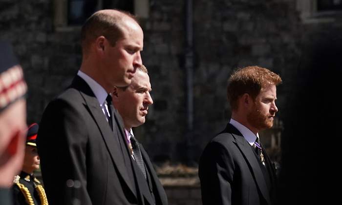 guillermo-harry-1200.jpg