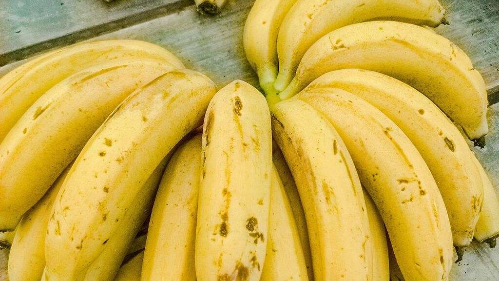 Los efectos en los riñones de comer plátanos todos los días