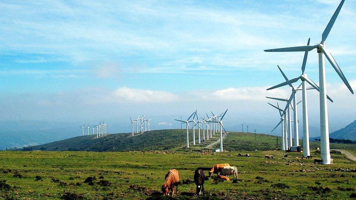 RDG impulsa la mayor auditoría energético-ambiental en la historia de Galicia