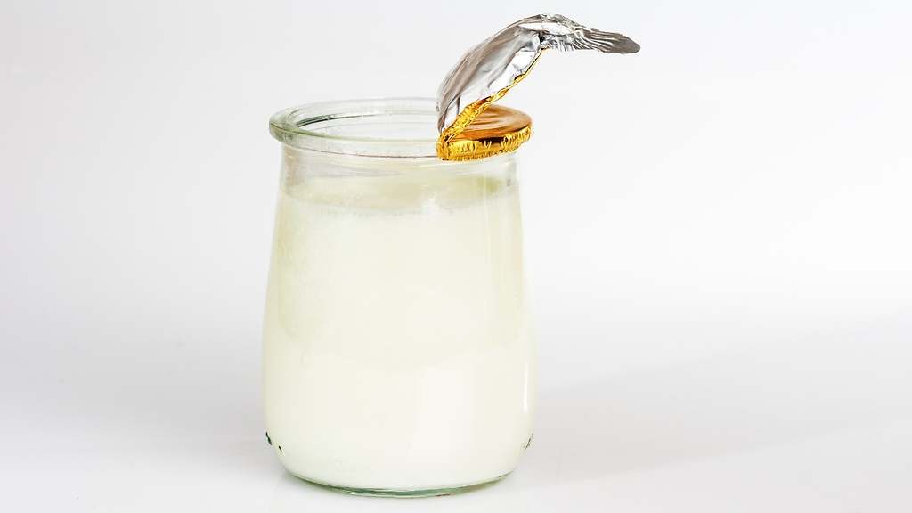 Yogur